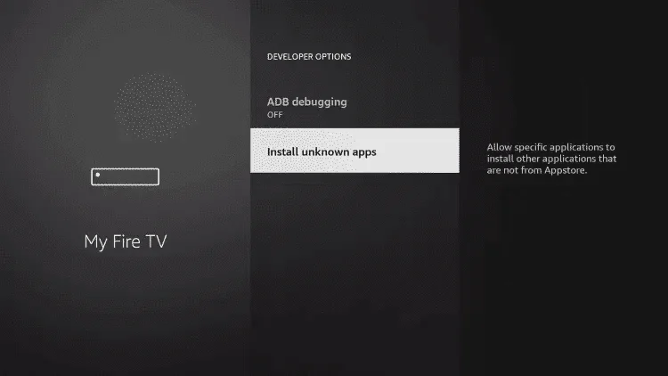 Developer options screen with Install unknown apps selected